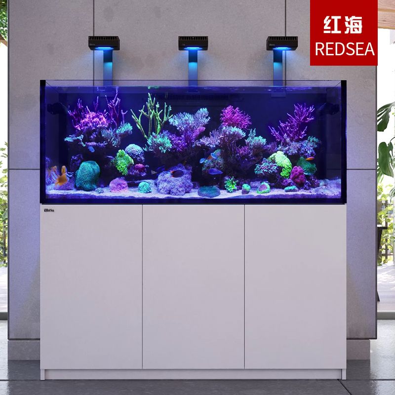 彩蝶海水魚缸1米2需多少錢一個(gè)：彩蝶品牌1米2海水魚缸價(jià)格大約在￥4280