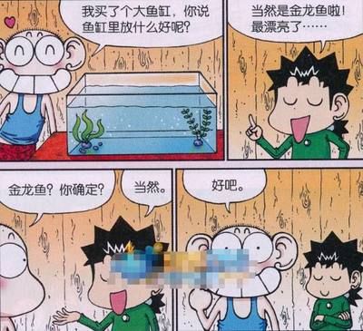 金龍魚作文600字初一：600字左右的初一水平的金龍魚作文600字左右的初一水平