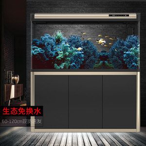 超白金晶魚缸排名第一位：超白金晶魚缸哪個(gè)牌子好 魚缸百科 第1張