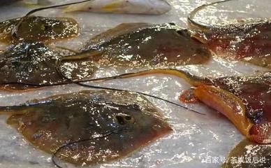 魟魚在水面上游什么意思啊視頻下載：魟魚在水面上游什么意思 魟魚百科 第3張