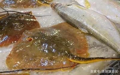 魟魚在水面上游什么意思啊視頻下載：魟魚在水面上游什么意思 魟魚百科 第2張