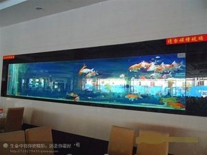 玻璃魚缸批發(fā)市場在哪里：成都魚缸批發(fā)市場 魚缸百科 第3張