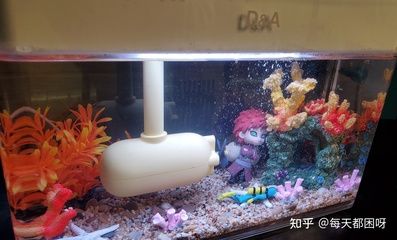 18cm魚缸造景：18cm魚缸造景指南