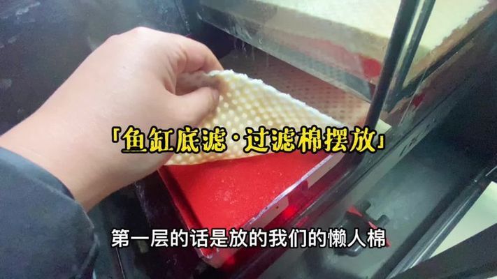 彩蝶魚缸干濕分離擺放：彩蝶魚缸干濕分離擺放方法