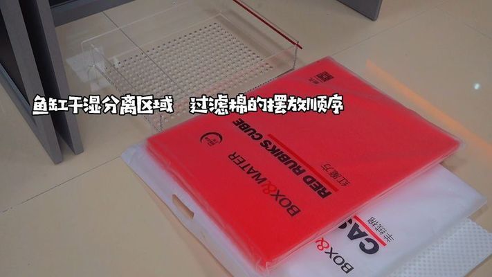 彩蝶魚缸干濕分離擺放：彩蝶魚缸干濕分離擺放方法