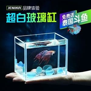 超白玻璃魚缸哪個品牌好一點：超白玻璃魚缸品牌推薦 魚缸百科 第3張