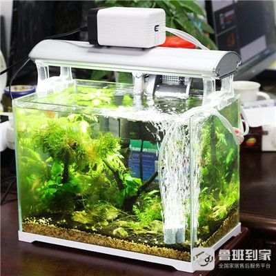 大型魚缸過濾器哪種好用一點：大型魚缸過濾器的選擇 魚缸百科 第1張