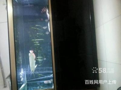 彩蝶魚(yú)缸下水口漏水：彩蝶魚(yú)缸下水口漏水怎么辦 彩鰈魚(yú)缸（彩蝶魚(yú)缸） 第2張