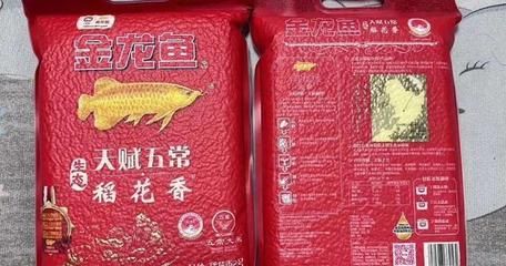 怎樣認(rèn)定金龍魚的品質(zhì)：怎樣判定金龍魚的品質(zhì) 龍魚百科 第1張