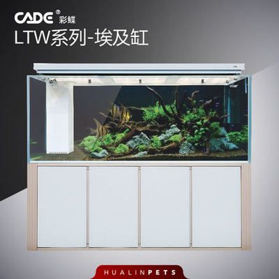 彩蝶水族箱哪個(gè)系列好用：彩蝶水族箱系列 彩鰈魚(yú)缸（彩蝶魚(yú)缸）