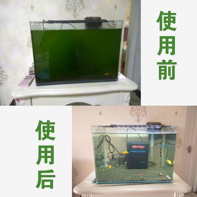 大桶水做魚(yú)缸過(guò)濾器好不好：大桶水做魚(yú)缸過(guò)濾器的優(yōu)缺點(diǎn) 魚(yú)缸百科 第3張