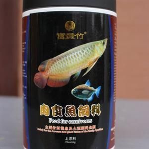 魟魚32度：魟魚的水溫偏好和耐受度