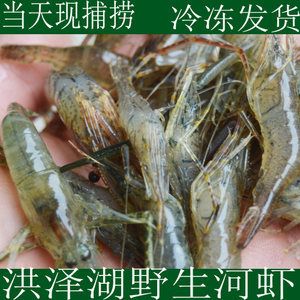 龍魚吃白蝦還是青蝦好：龍魚可以喂食的蝦類包括多種淡水蝦和海水蝦 龍魚百科 第1張