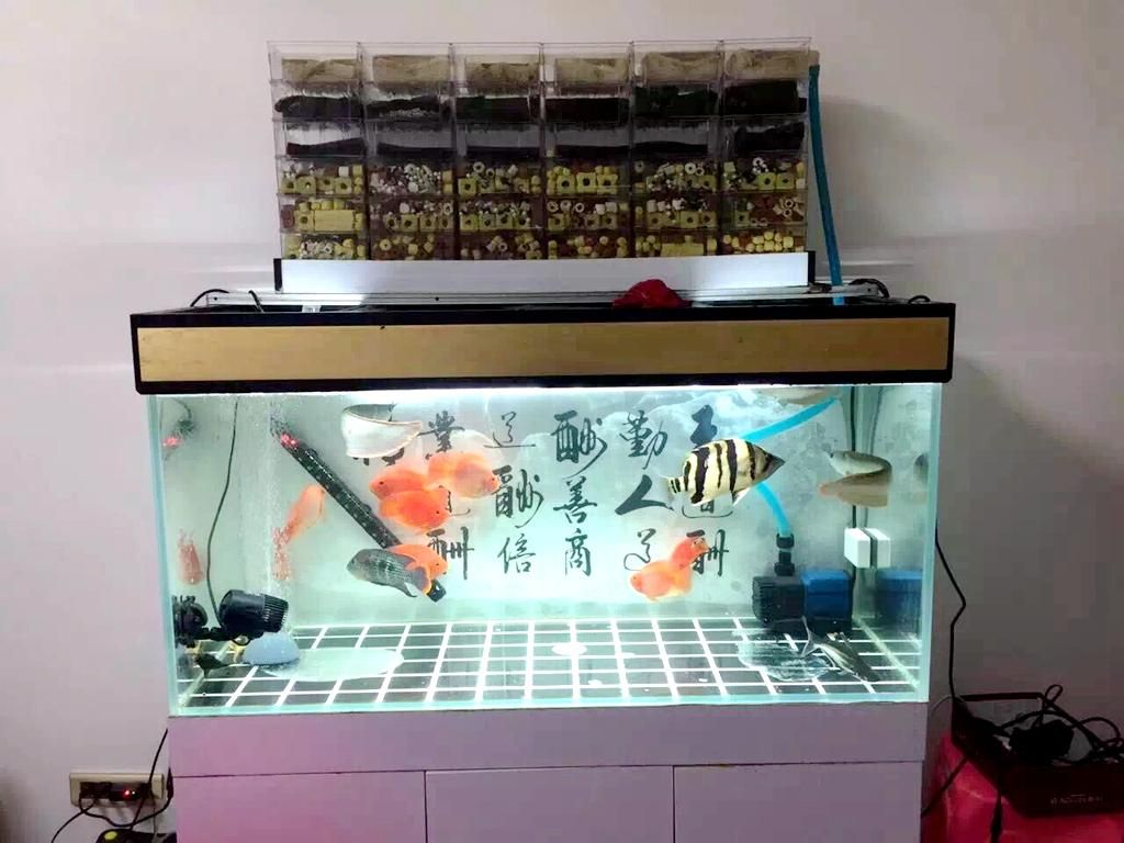 PVC水管制作魚缸上濾：pvc水管制作魚缸上濾的方法 魚缸百科 第1張