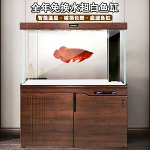 白底白背景魚缸：如何選擇魚缸背景紙