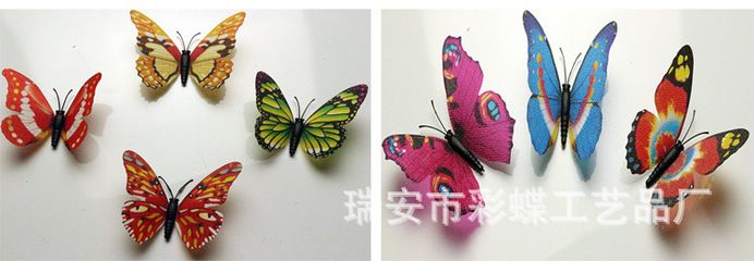 彩蝶c款價格：彩蝶c款魚缸價格信息搜索結(jié)果整理的一些價格信息