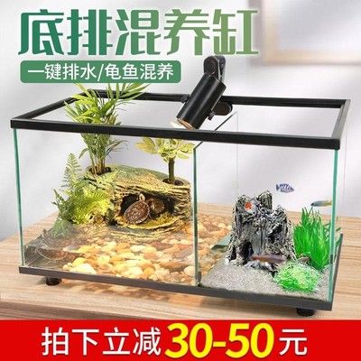 純海水魚缸注意什么事項：如何選擇合適的海水魚 魚缸百科 第3張