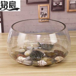 大型圓形玻璃魚缸價格多少：大型圓形玻璃魚缸價格 魚缸百科 第1張