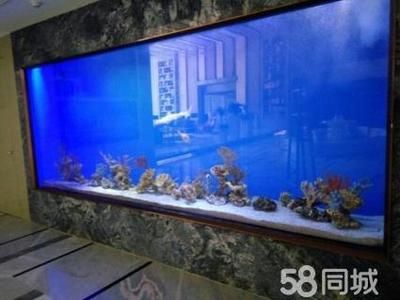 大型海水魚(yú)缸造景：大型海水魚(yú)缸如何造景