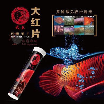 虎魚(yú)身上起白點(diǎn)怎么辦用什么藥：虎魚(yú)身上起白點(diǎn)怎么辦 虎魚(yú)百科 第2張