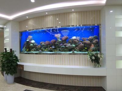 大型魚缸去哪里買便宜的：如何自制魚缸省錢又省空間 魚缸百科 第4張