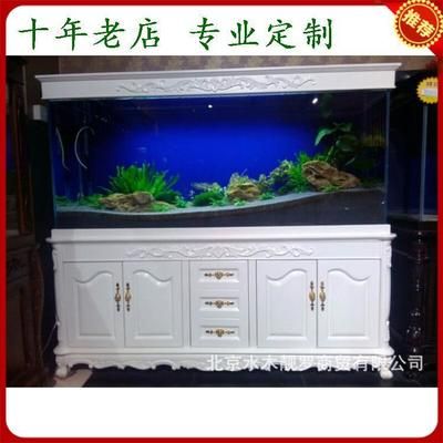 定做大型魚(yú)缸多少錢(qián)一套：定做大型魚(yú)缸價(jià)格范圍從低價(jià)位到高價(jià)位不等 魚(yú)缸百科 第1張