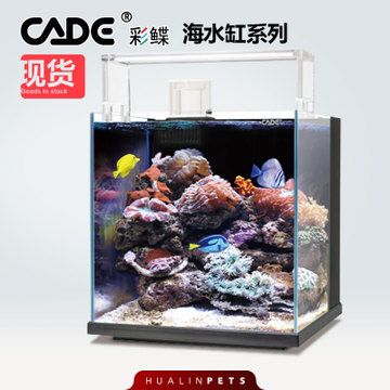 彩鰈水族有限公司官網(wǎng)：彩鰈水族有限公司官網(wǎng)信息并未直接給出