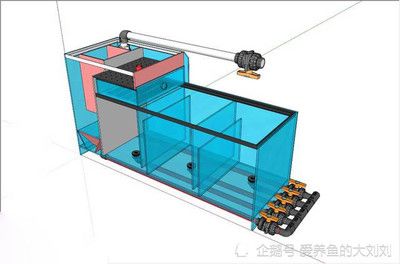 多大的魚缸需要過濾器：如何選擇合適的魚缸過濾器 魚缸百科 第4張