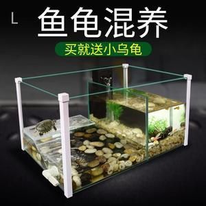 不需要打理的魚缸魚：不需要打理的魚缸 魚缸百科 第1張