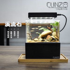 不需要打理的魚缸魚：不需要打理的魚缸 魚缸百科 第3張