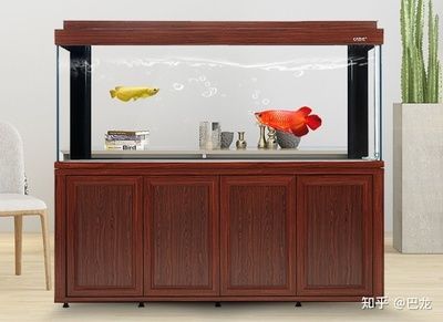 大魚缸怎么改小魚缸：如何將大魚缸改造為小魚缸 魚缸百科 第3張