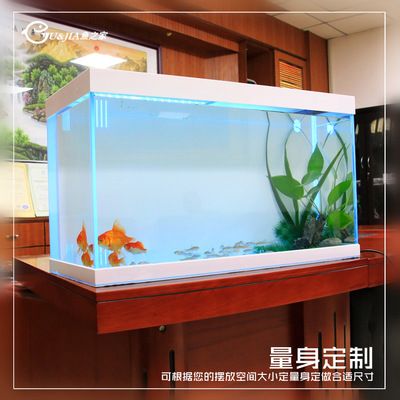 大型魚缸批發(fā)市場在哪里有：大型魚缸批發(fā)市場 魚缸百科 第1張