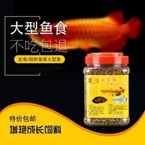 龍魚(yú)不吃魚(yú)食怎么辦：當(dāng)龍魚(yú)突然不愿意吃魚(yú)食時(shí)，可能會(huì)讓飼養(yǎng)者感到困擾