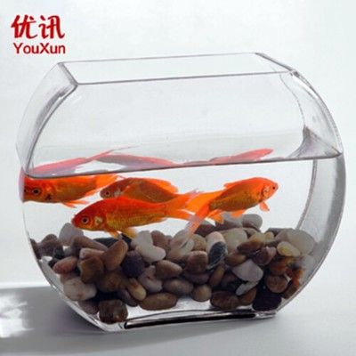 玻璃魚缸有蓋嗎？：玻璃魚缸是否需要配備蓋子 魚缸百科 第1張