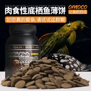 魟魚能喂飼料嗎有毒嗎能吃嗎：魟魚的飼養(yǎng)需要注意以下幾個(gè)方面 魟魚百科 第3張