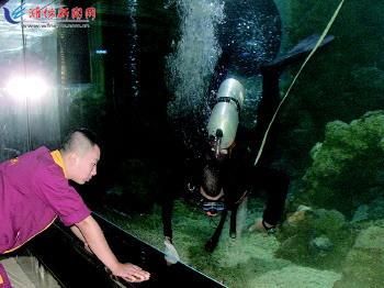 大魚缸怎么清洗水垢：如何清洗大魚缸水垢