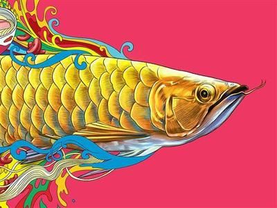 金龍魚(yú)貼吧：金龍魚(yú)貼吧是一個(gè)多元化的社區(qū)