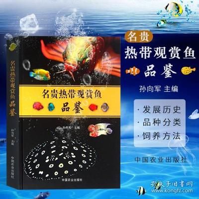 七彩神仙 龍魚怎么養(yǎng)殖方法圖解：七彩神仙魚養(yǎng)殖方法圖解，七彩神仙龍魚養(yǎng)殖方法圖解 龍魚百科 第3張