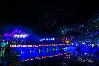 彩蝶水族館：南京彩蝶水族館