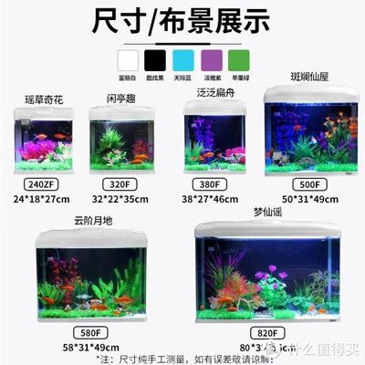 除魚缸青苔的魚能吃嗎：清理魚缸青苔的方法 魚缸百科