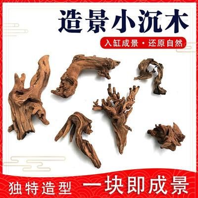 大型魚(yú)缸如何造景 魚(yú)缸百科 第1張