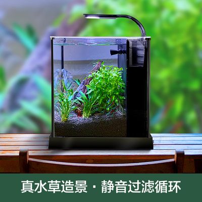 超白魚缸刮花了：超白魚缸刮花怎么辦？