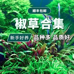 彩蝶火鳥魚缸怎么樣啊好用嗎：彩蝶火鳥魚缸使用過程中存在一些問題，用戶反饋存在質(zhì)量問題 彩鰈魚缸（彩蝶魚缸） 第2張