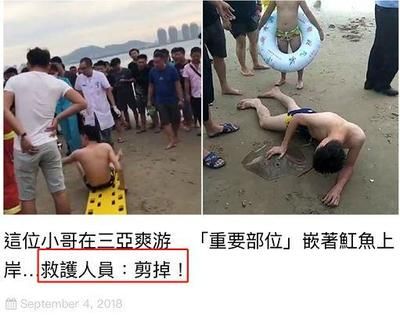 魟魚扎人：[需手動填充]魚為什么會扎人？ 魟魚百科 第1張