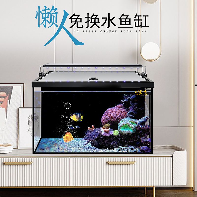 博特魚缸換水：博特魚缸換水方法 博特水族 第2張