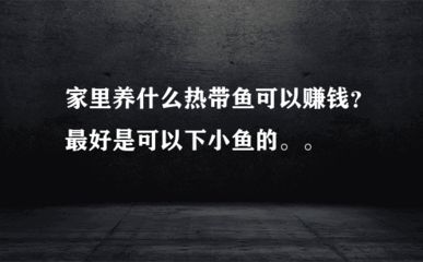 最便宜的魟魚：新手選擇珍珠魟魚練手，最便宜的魟魚可能是珍珠魟魚