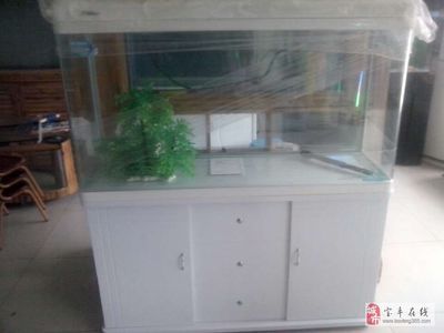 大亞灣哪里有賣魚缸的店啊：大亞灣地區(qū)的一些賣魚缸的店鋪 魚缸百科 第3張