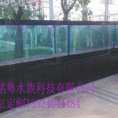 超白玻璃魚缸定做廠家：超白玻璃魚缸定做廠家注意事項超白玻璃魚缸定做廠家 魚缸百科 第1張