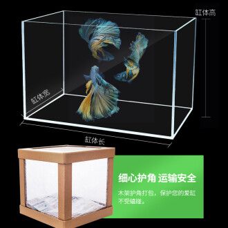 超白玻璃魚缸定做廠家：超白玻璃魚缸定做廠家注意事項超白玻璃魚缸定做廠家 魚缸百科 第2張