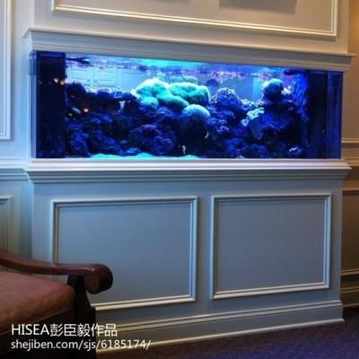 大型魚缸定做,點擊了解更多信息：大型魚缸定做的注意事項 魚缸百科 第4張